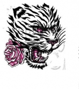 tigerrose