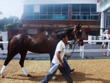 RACHEL ALEXANDRA