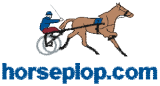 horseplop