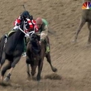 afleet alex falls to knees far shot in preakness