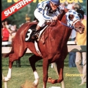 secretariat cover newsweek june 11 1973