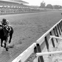 Secretariat belmont triple crown str