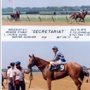 scretariat mdn 1972 winners circle photo