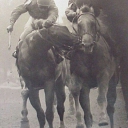 horse racing eclipes photo of year jungle savage beating golden derby