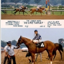 secretariat 2nd win track photo